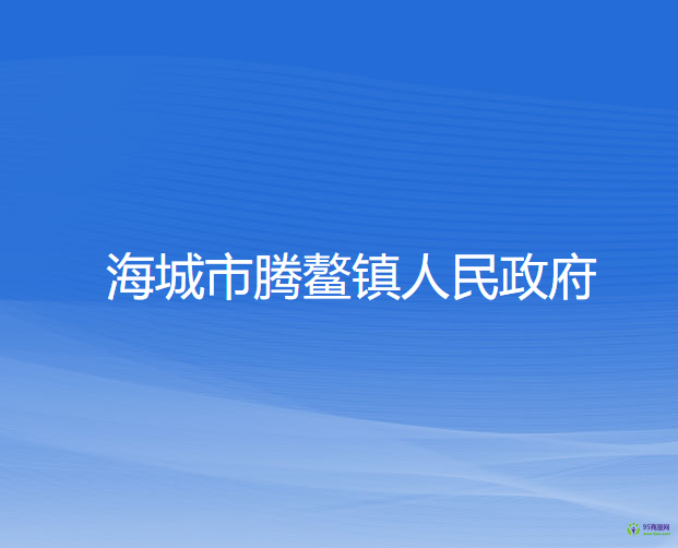 海城市腾鳌镇人民政府