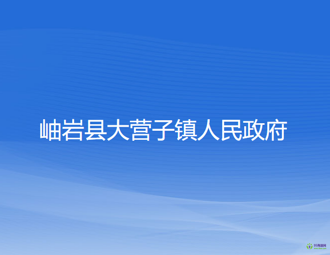 岫岩县大营子镇人民政府