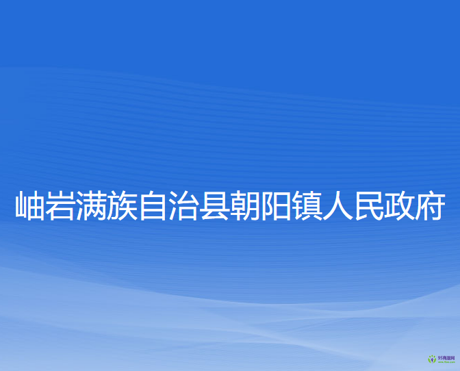 岫岩满族自治县朝阳镇人民政府