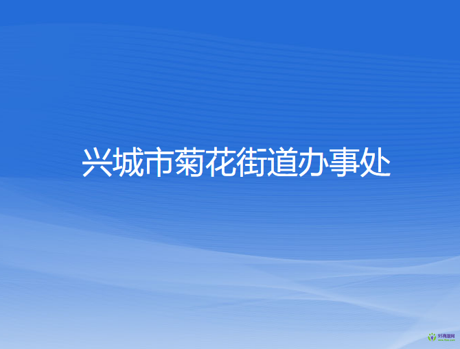 兴城市菊花街道办事处