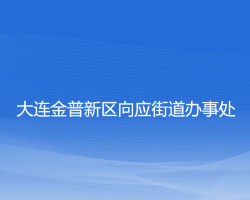 大连金普新区向应街道办事处