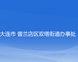 大连市普兰店区双塔街道办事处