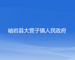 岫岩县大营子镇人民政府