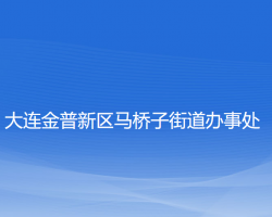 大连金普新区马桥子街道办事处