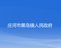 庄河市黑岛镇人民政府