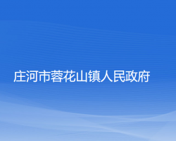 庄河市蓉花山镇人民政府