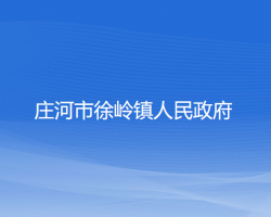 庄河市徐岭镇人民政府