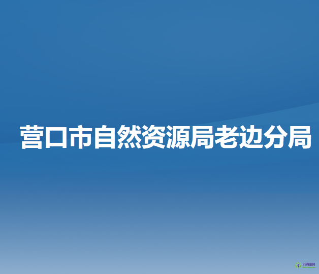 营口市自然资源局老边分局