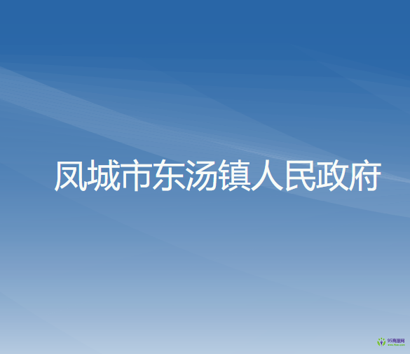 凤城市东汤镇人民政府