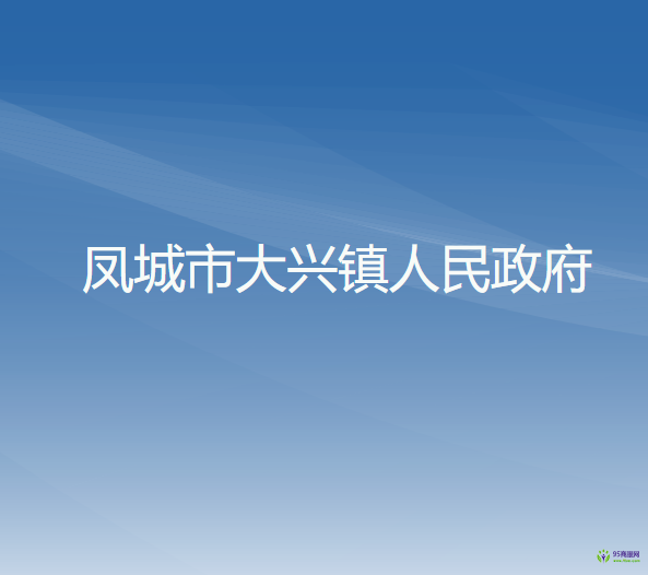 凤城市大兴镇人民政府