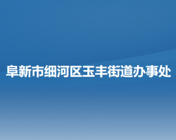 阜新市细河区玉丰街道办事处