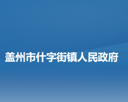 盖州市什字街镇人民政府