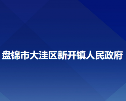 盘锦市大洼区新开镇人民政府