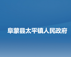 阜蒙县太平镇人民政府