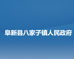 阜新县八家子镇人民政府