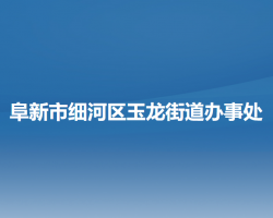 阜新市细河区玉龙街道办事处