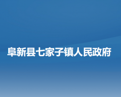 阜新县七家子镇人民政府