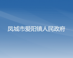 凤城市爱阳镇人民政府