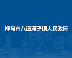 桦甸市八道河子镇人民政府