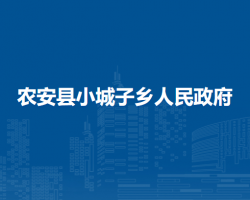 农安县小城子乡人民政府