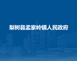 梨树县孟家岭镇人民政府