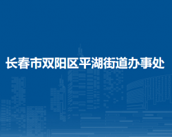 长春市双阳区平湖街道办事处