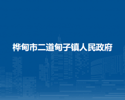 桦甸市二道甸子镇人民政府