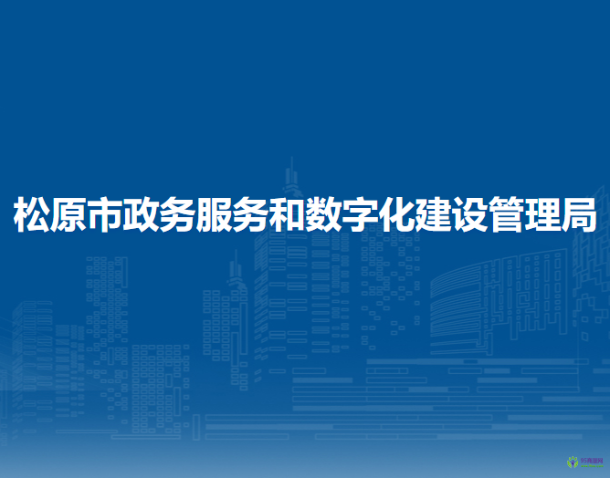 松原市政务服务和数字化建设管理局