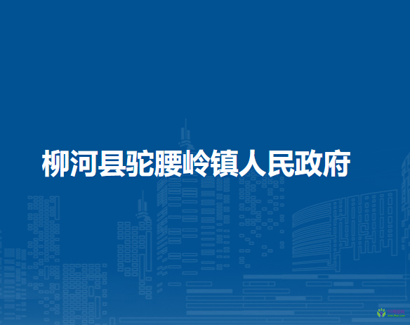 柳河县驼腰岭镇人民政府