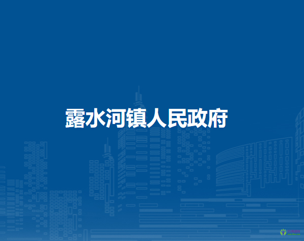 露水河镇人民政府