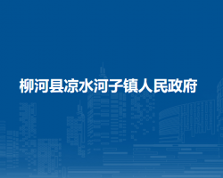 柳河县凉水河子镇人民政府