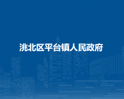 白城市洮北区平台镇人民政府