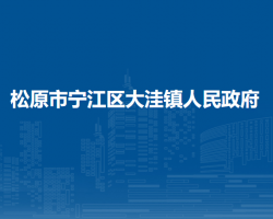 松原市宁江区大洼镇人民政府