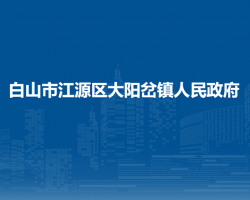 白山市江源区大阳岔镇人民政府