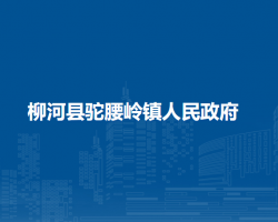 柳河县驼腰岭镇人民政府