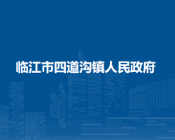 临江市四道沟镇人民政府