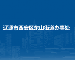 辽源市西安区东山街道办事处