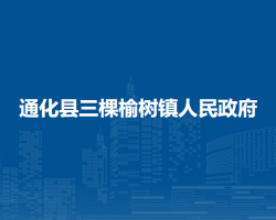 通化县三棵榆树镇人民政府