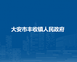 大安市丰收镇人民政府