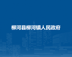 柳河县柳河镇人民政府