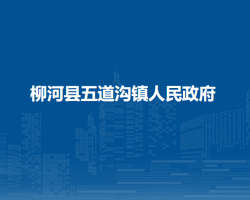 柳河县五道沟镇人民政府