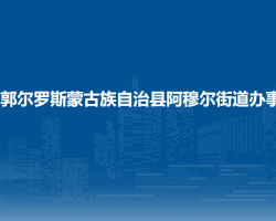 前郭尔罗斯蒙古族自治县阿穆尔街道办事处