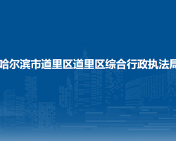 哈尔滨市道里区道里区综合行政执法局