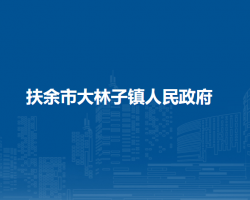 扶余市大林子镇人民政府