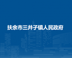 扶余市三井子镇人民政府