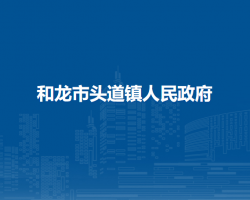 和龙市头道镇人民政府