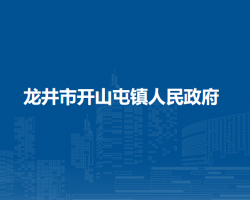 龙井市开山屯镇人民政府