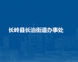 长岭县长治街道办事处