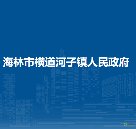 海林市横道河子镇人民政府