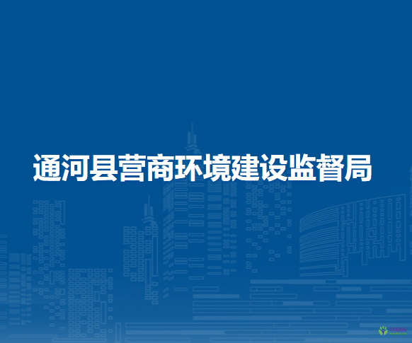 通河县营商环境建设监督局